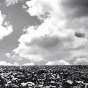 玲　プロフ御一読頂けますと幸いです。の画像