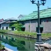 まこ