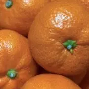 gojiの画像