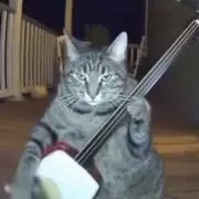 るあの画像