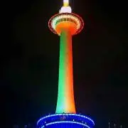 tsubakiの画像