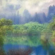 ハルリの画像