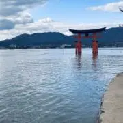 36の画像
