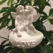 minmhnnangel