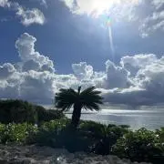 のんの画像