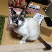 Nori