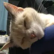 そーちゃんの画像