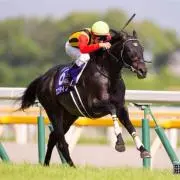 がんまの画像