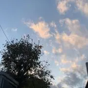 あり。の画像