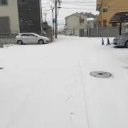 雷蔵