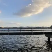 らいしすの画像