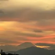 ジョロの画像