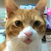 まなぷー