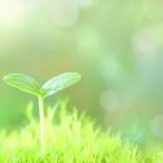 こよみ