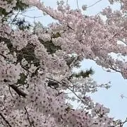 この画像