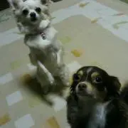 すぎもと