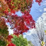 一歩