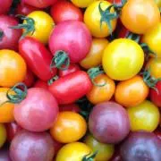 tomato
