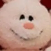 ひよこ