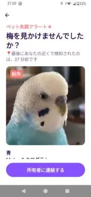 ねねこ断捨離中の画像