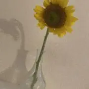 himawari   断捨離中！の画像