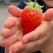 ri☆の画像
