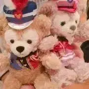 みーの画像