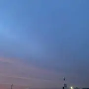 さとうの画像