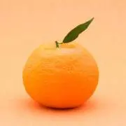 サカナハクション