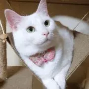 ❁Mina❁の画像