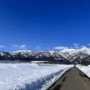 みさんの画像