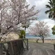なぎ
