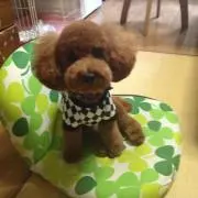 つーの画像