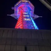 ありの画像