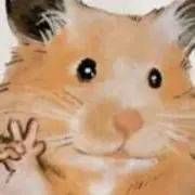 くじの画像