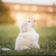 e♡の画像
