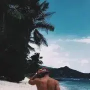 車の画像