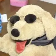 ららの画像