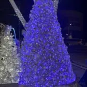 nyap@お値下げ可能の画像