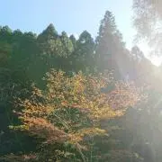 ユウの画像