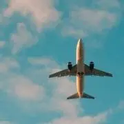 すだの画像