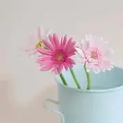 smilemama即購入OKの画像