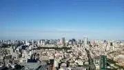 ハナマルコの画像