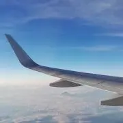 ゆきのすけの画像