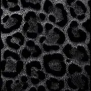 ぽにょ
