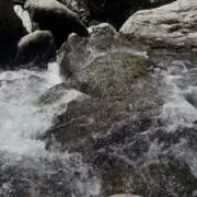 moaa mo☆即購入OK☆の画像