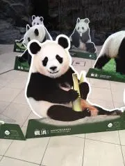 ふーちゃんの画像