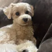 すぎちゃん