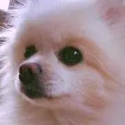 hiroko