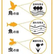 nachijudo0615